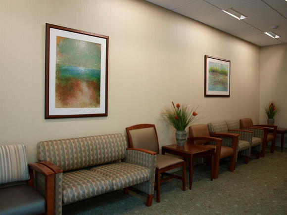 urgent care building lobby design series of 12 paintings designed for serenity