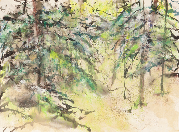 winter pines original watercolor painting 22"30' catskill mountains colorado