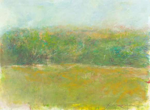 summer meadow original 22'30" pastel watercolor $1,800  available mixed media 34"x28" $900.
