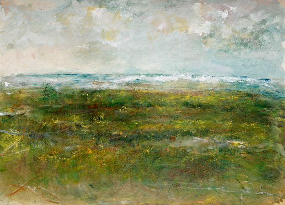 summer wetlandsoriginal pastel watercolor $2,000   available mixed media 34"x28" $900.