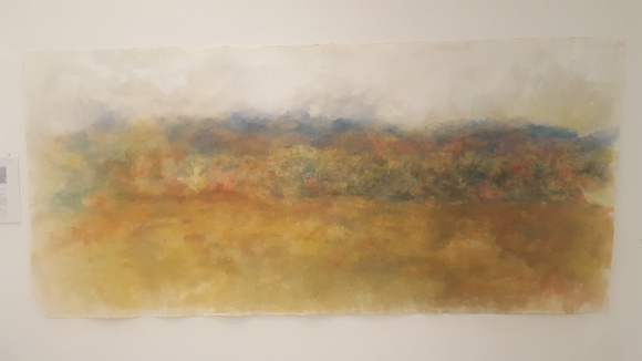 panorama mountain meadow on paper10ft x 5ft  2,400