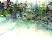 sun and pineswinter trees painting original watercolor painting 22"30'