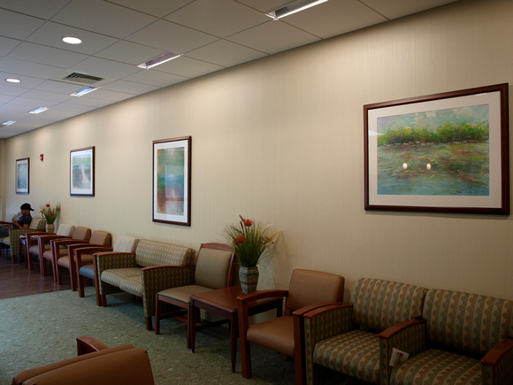 theme of nature and peace seasons selected for surgery center lobby