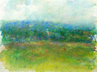 $1,800  original pastel watercolor mixed oil meadows