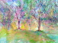 weeping willows watercolor 2,000