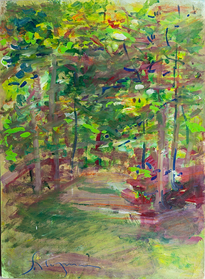 forest lightoriginal watercolor painting 22"30' catskill mountains byrdcliffe woodstock