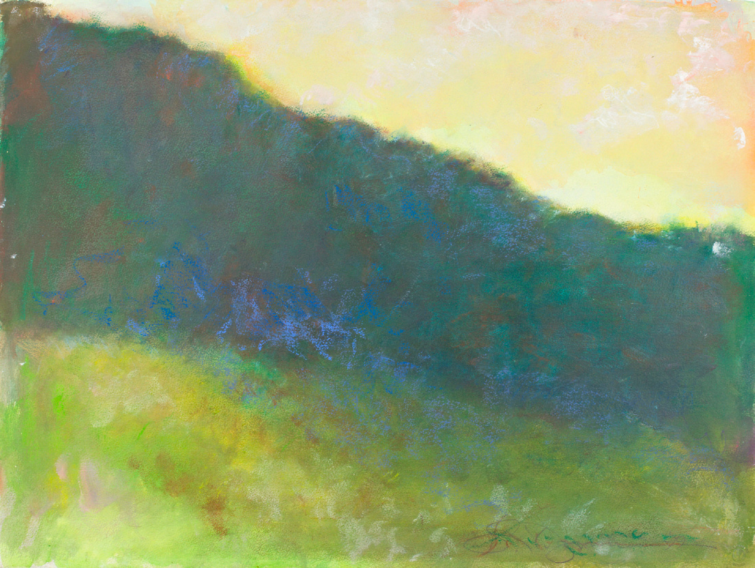mountain meadow 22" 30 "miwed pastel wateroil color on paper 2,200