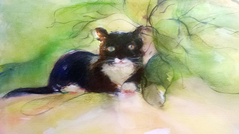 original watercolor painting  cat bunko available in print  22"30'